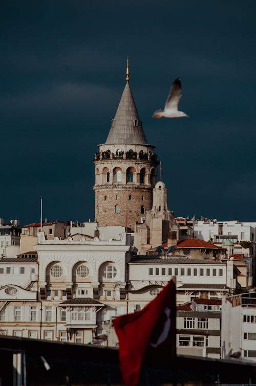 A bird flying over a city with a tower in the background