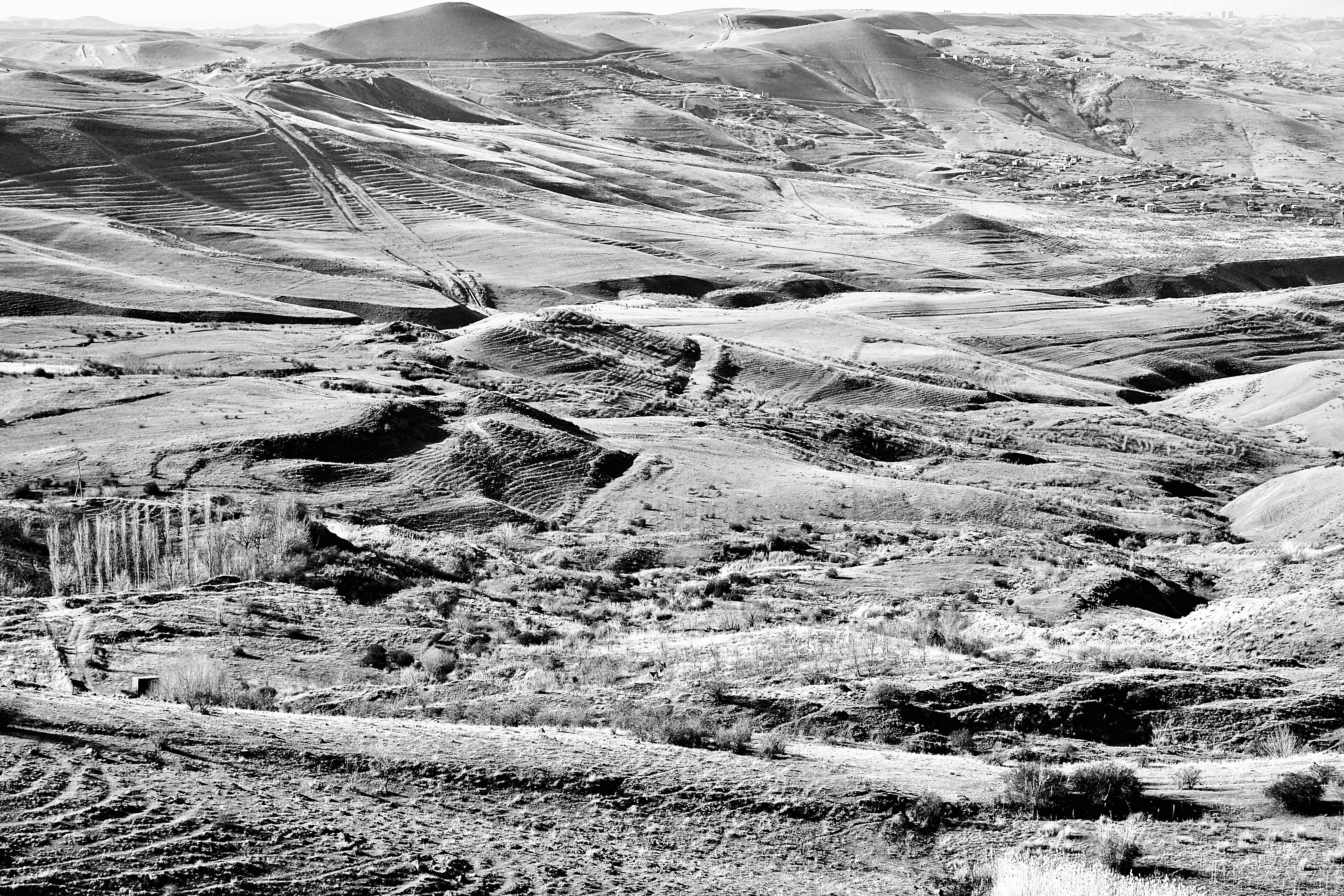 A vast monochrome landscape depicting serene hills and valleys with intricate details.