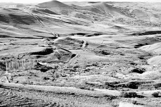 A vast monochrome landscape depicting serene hills and valleys with intricate details.