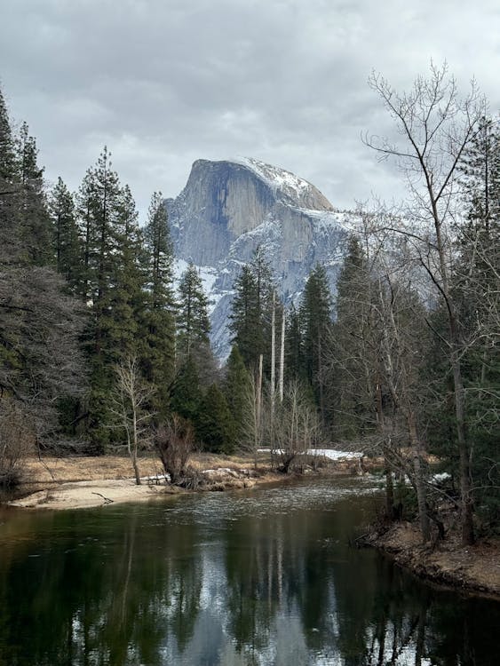 Foto stok gratis alam, california, gunung