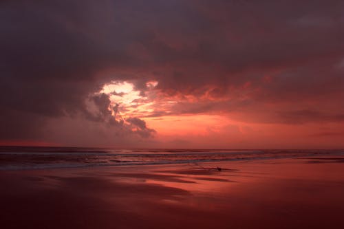 ドラマチックな空, ビーチ, ピンクの空の無料の写真素材