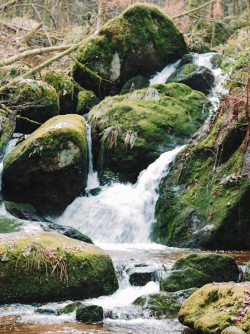 A waterfall in the woods with moss and rocks