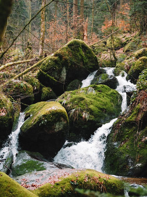 A waterfall in the woods with moss and rocks