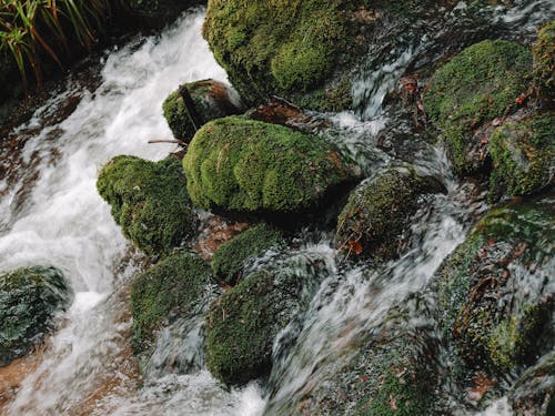 Free A stream of water flowing over some rocks Stock Photo