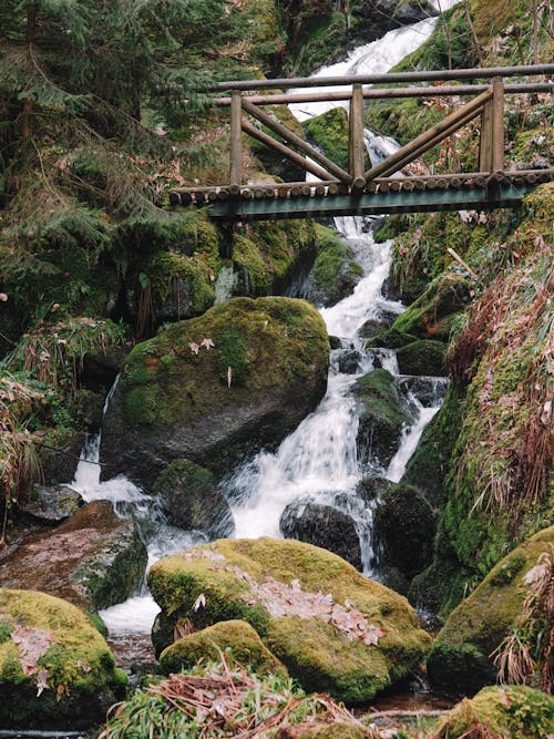 A bridge over a stream with moss and rocks