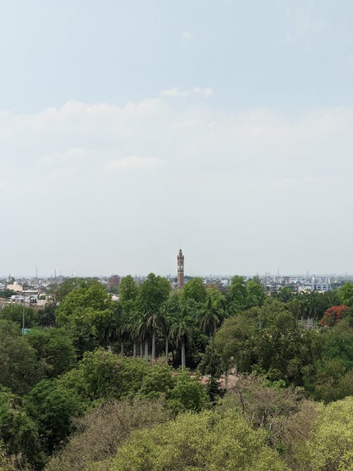 A view of a city with trees and a clock tower