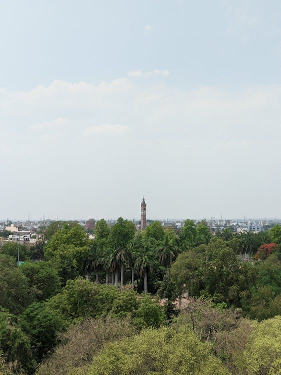 A view of a city with trees and a clock tower