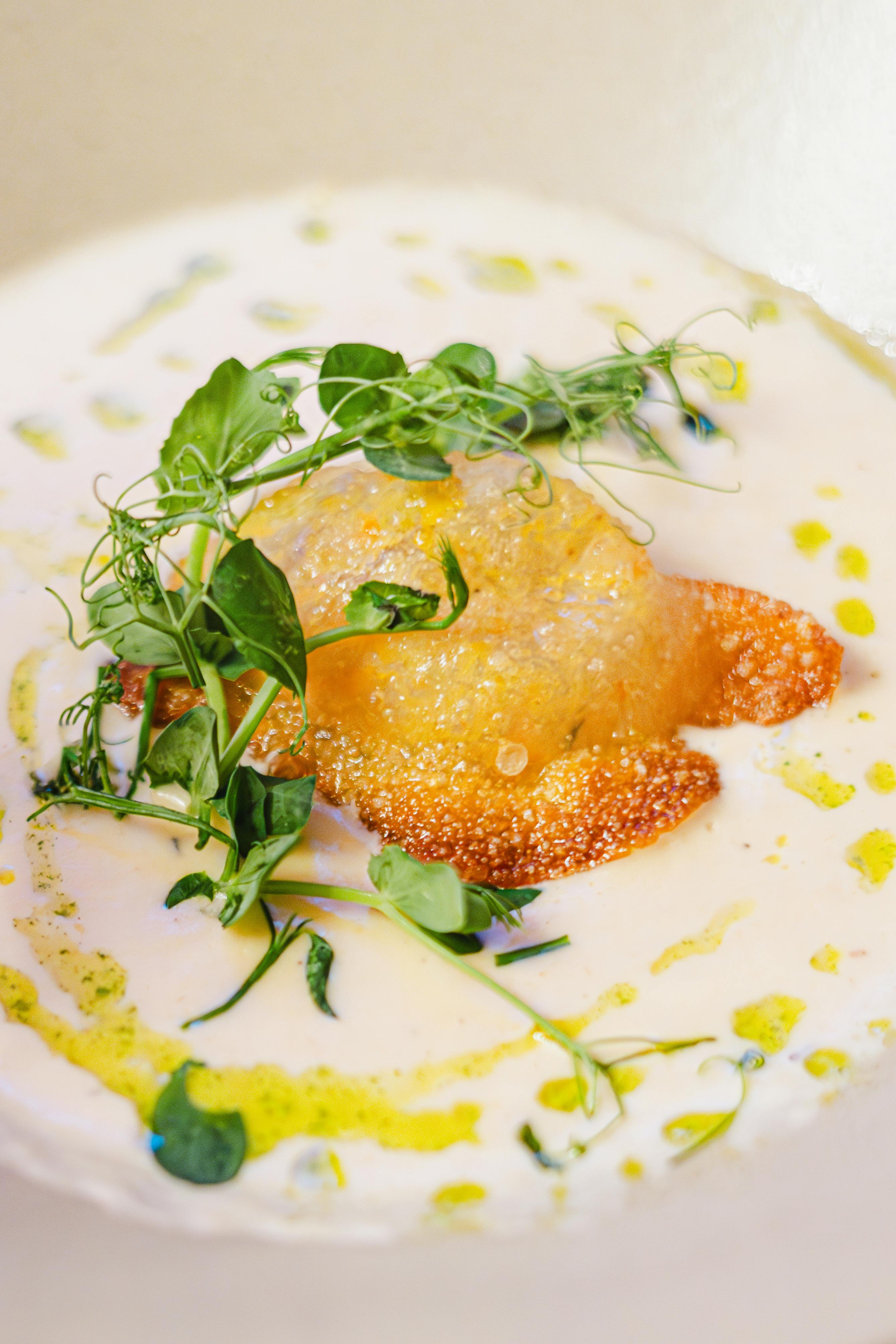 Close-up of a gourmet fried egg on creamy sauce garnished with fresh herbs.