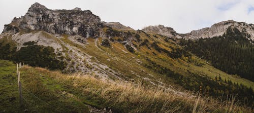 秋天的山坡