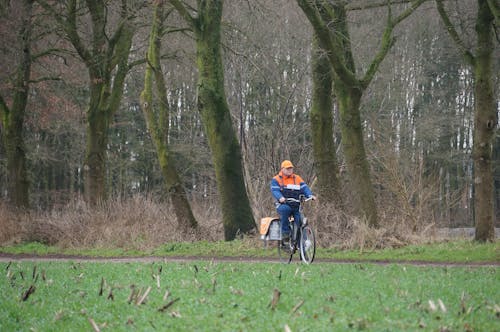 Imagine de stoc gratuită din arbori, bicicletă, biciclist