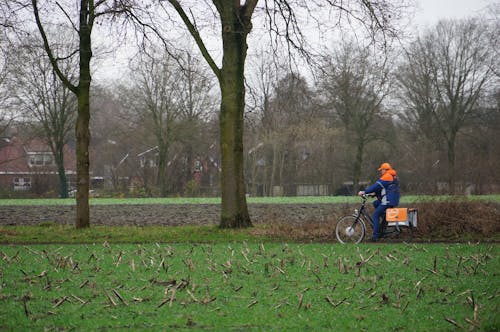 Immagine gratuita di alberi, ciclista, erba
