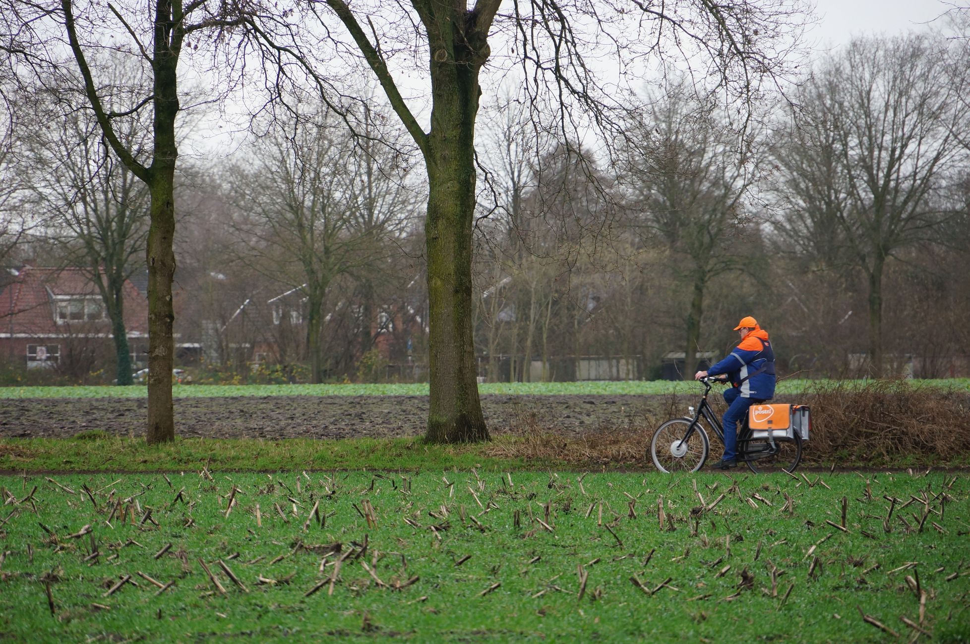Mediahuis stopt papieren krantenbezorging op Schiermonnikoog en Vlieland