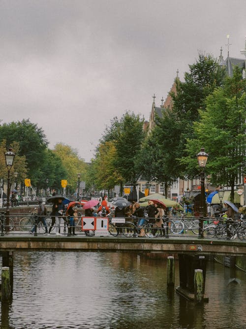 Gratis lagerfoto af Amsterdam, bro, broer