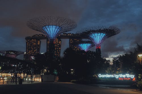 Gardens by the bay at night