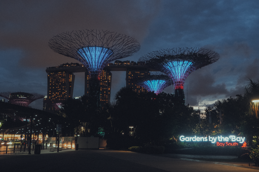 Night Safari small-group tour — Singapore