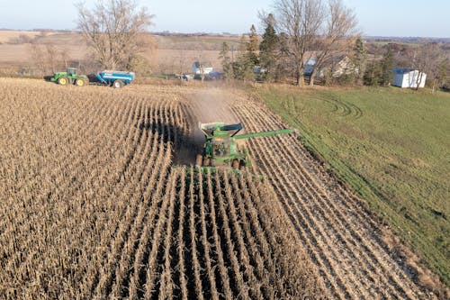 Immagine gratuita di agricoltura, azienda agricola, campo