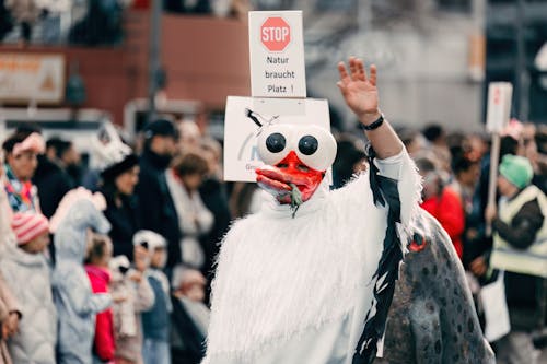 Gratis lagerfoto af byens gader, fuglemaske, gade