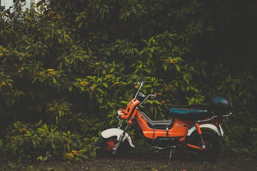 Orange vintage motorcycle against vibrant green foliage in Vietnam.