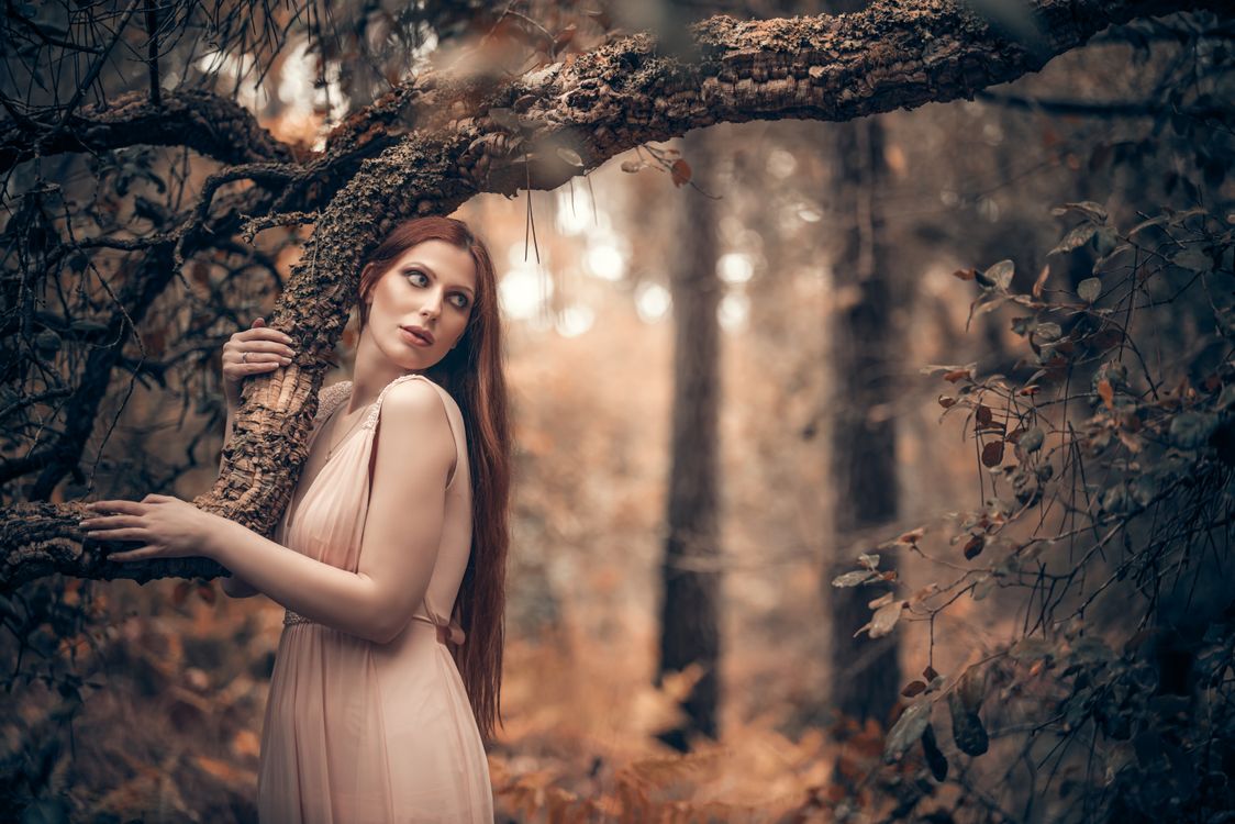 A Woman Posing by a Tree · Free Stock Photo