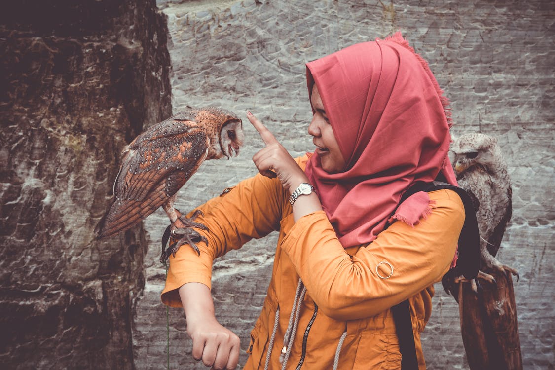 無料 茶色と白のフクロウに触れる赤いヒジャーブとオレンジ色のコートの女性 写真素材