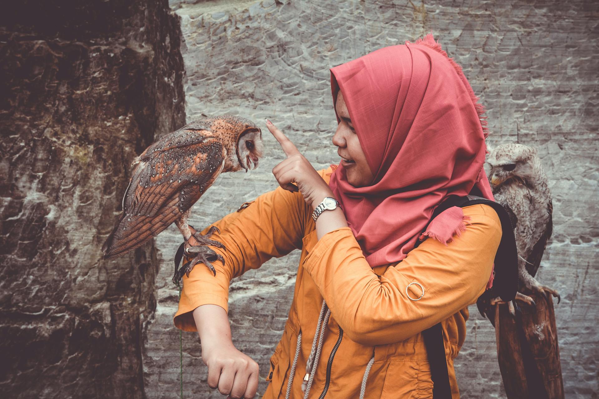 Woman in Red Hijab and Orange Coat Touching Brown and White Owl