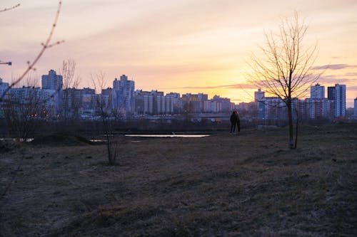 A person walking through a field with a city in the background