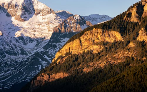 Foto profissional grátis de árvores, cenário, floresta