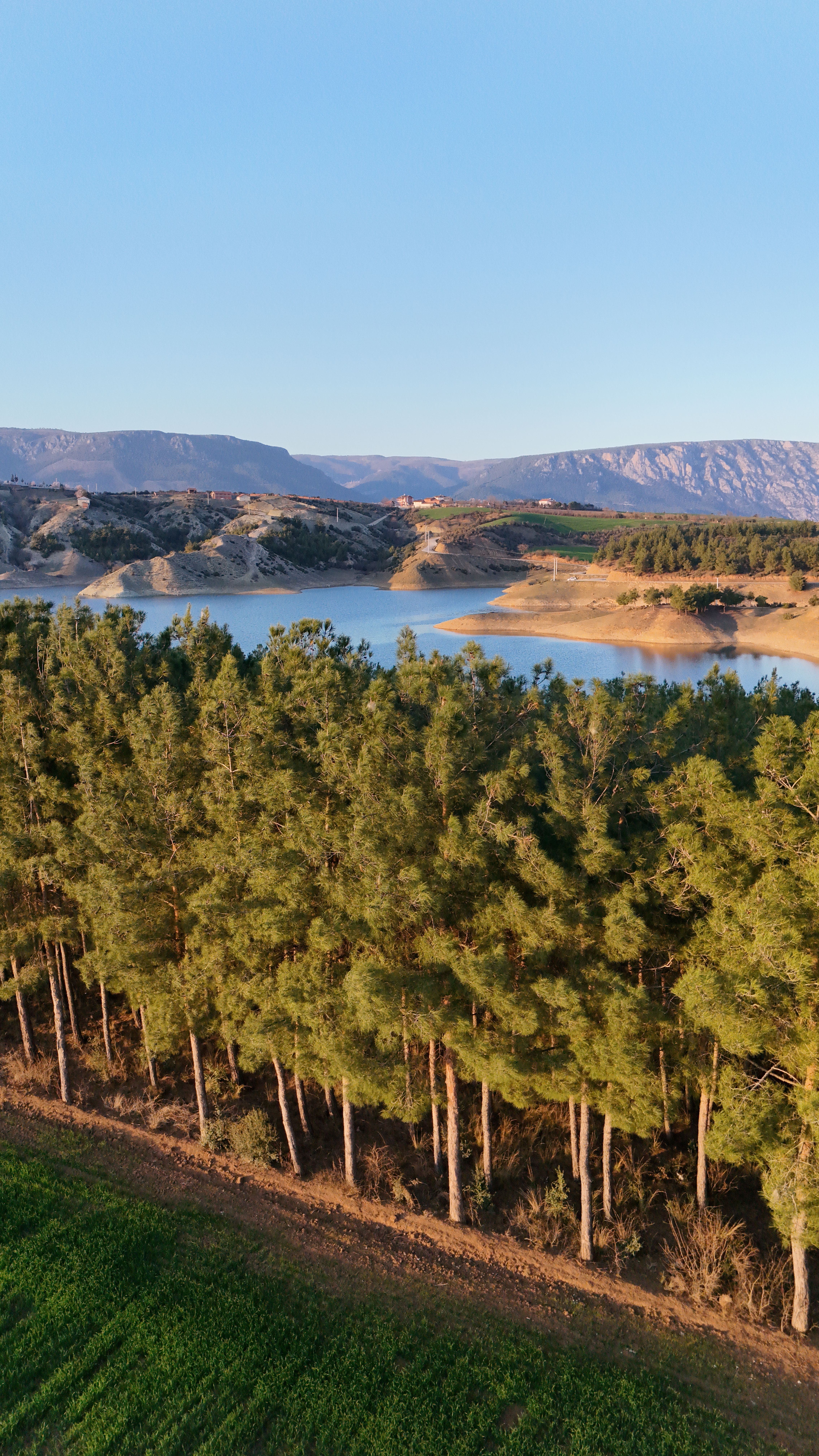 Gratis Immagine gratuita di @all'aperto, acqua, alberi Foto a disposizione