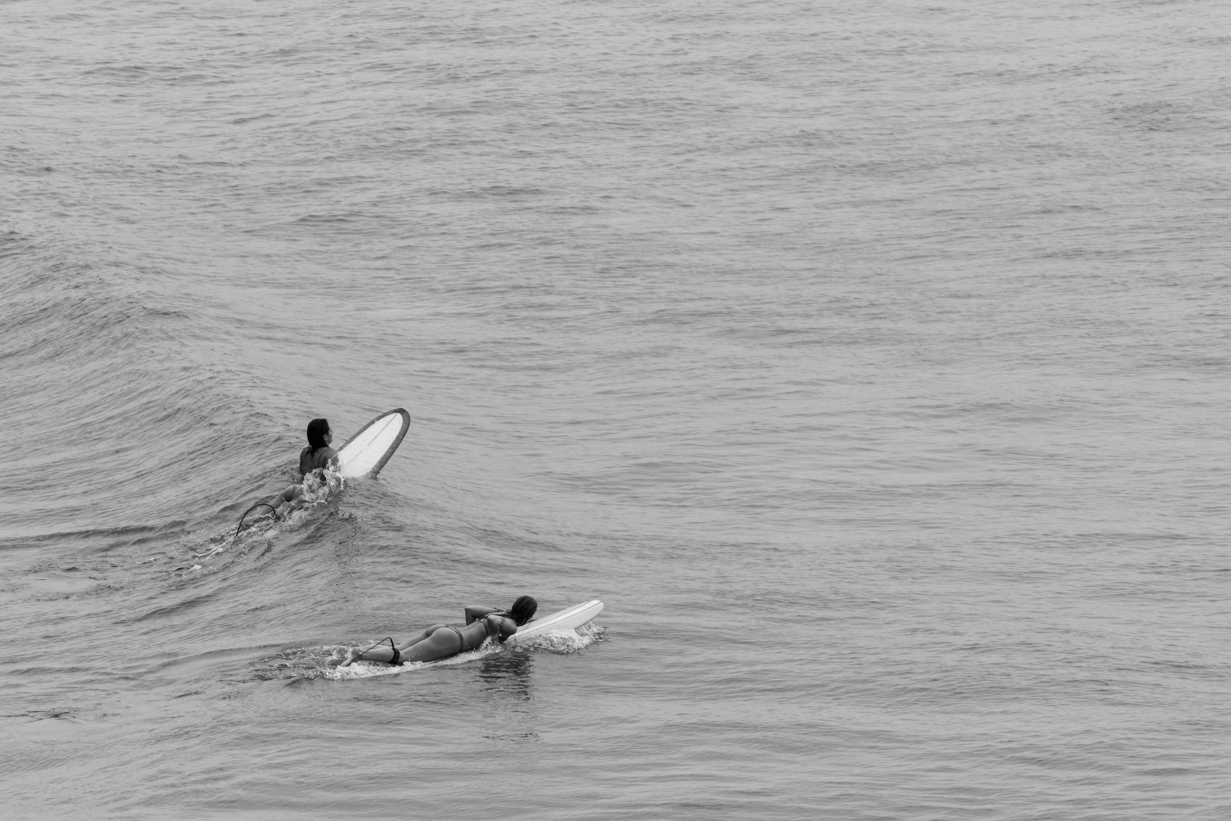 Women on Surfboards in Black and White · Free Stock Photo