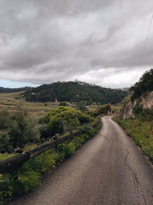 Imagine de stoc gratuită din balustradă, cai, drumeție