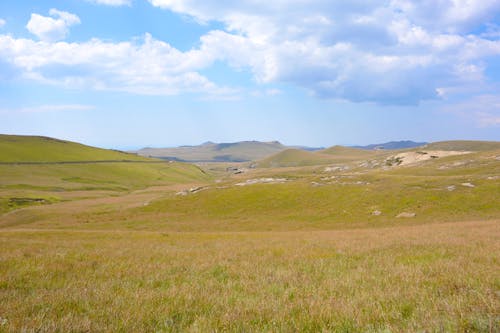 Kostenloses Stock Foto zu afrika, blauer himmel, grünes gras