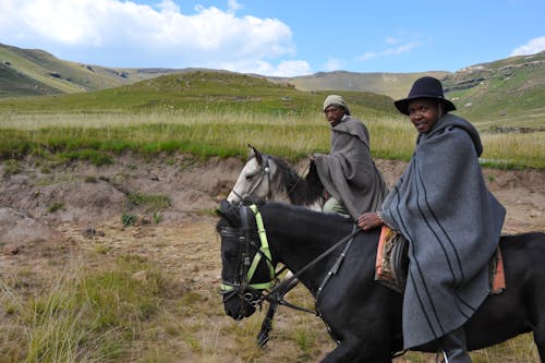 Δωρεάν στοκ φωτογραφιών με lesotho, άλογα, αφρικανοί