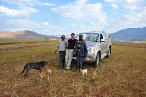 개, 레소토, 아프리카의 무료 스톡 사진