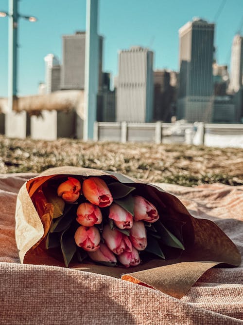 Kostenloses Stock Foto zu blumen, blumenstrauß, gebäude