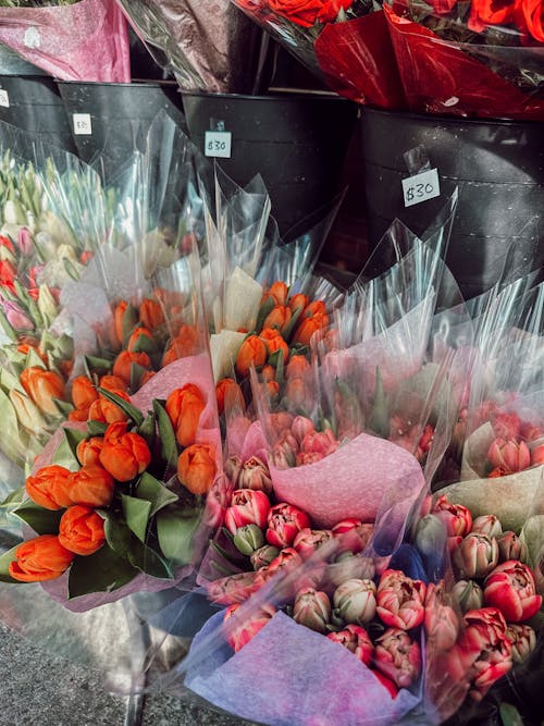 A bunch of flowers are in plastic bags at a market