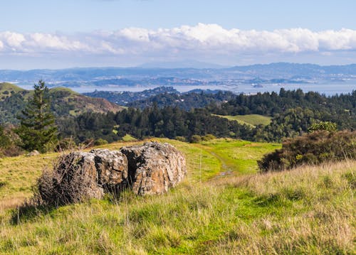 Foto profissional grátis de cênico, colinas, floresta