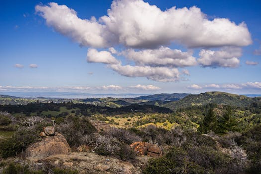 A stunning aerial view of rolling green hills under a bright blue sky filled with fluffy clouds.