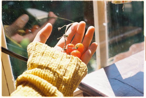 A person holding a small red fruit in their hand