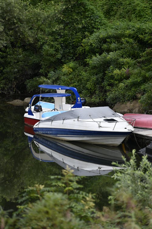 Photos gratuites de arbres, bateau, eau