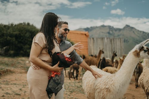 Foto profissional grátis de amor, amor de casal, anel