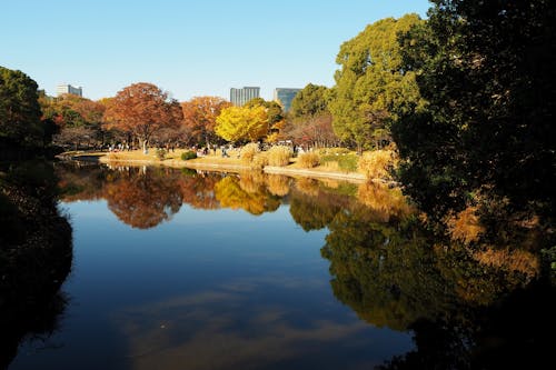가을, 강, 거울의 무료 스톡 사진