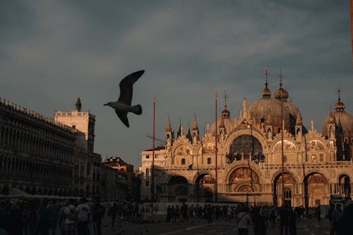 A bird flying over a city with a cathedral in the background