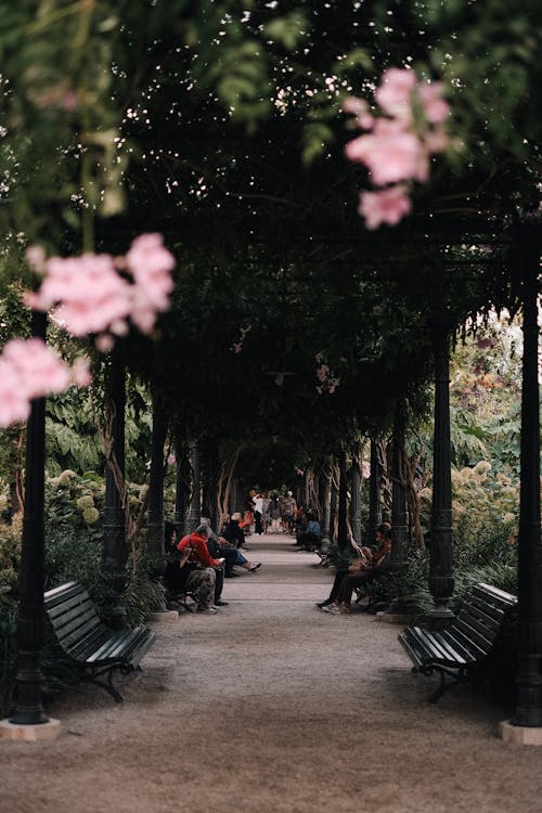 A walkway with benches and flowers in the background