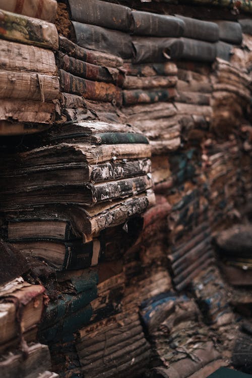 Free A pile of books with a pile of books Stock Photo