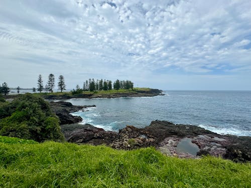 Sea Shore with Trees and Grass