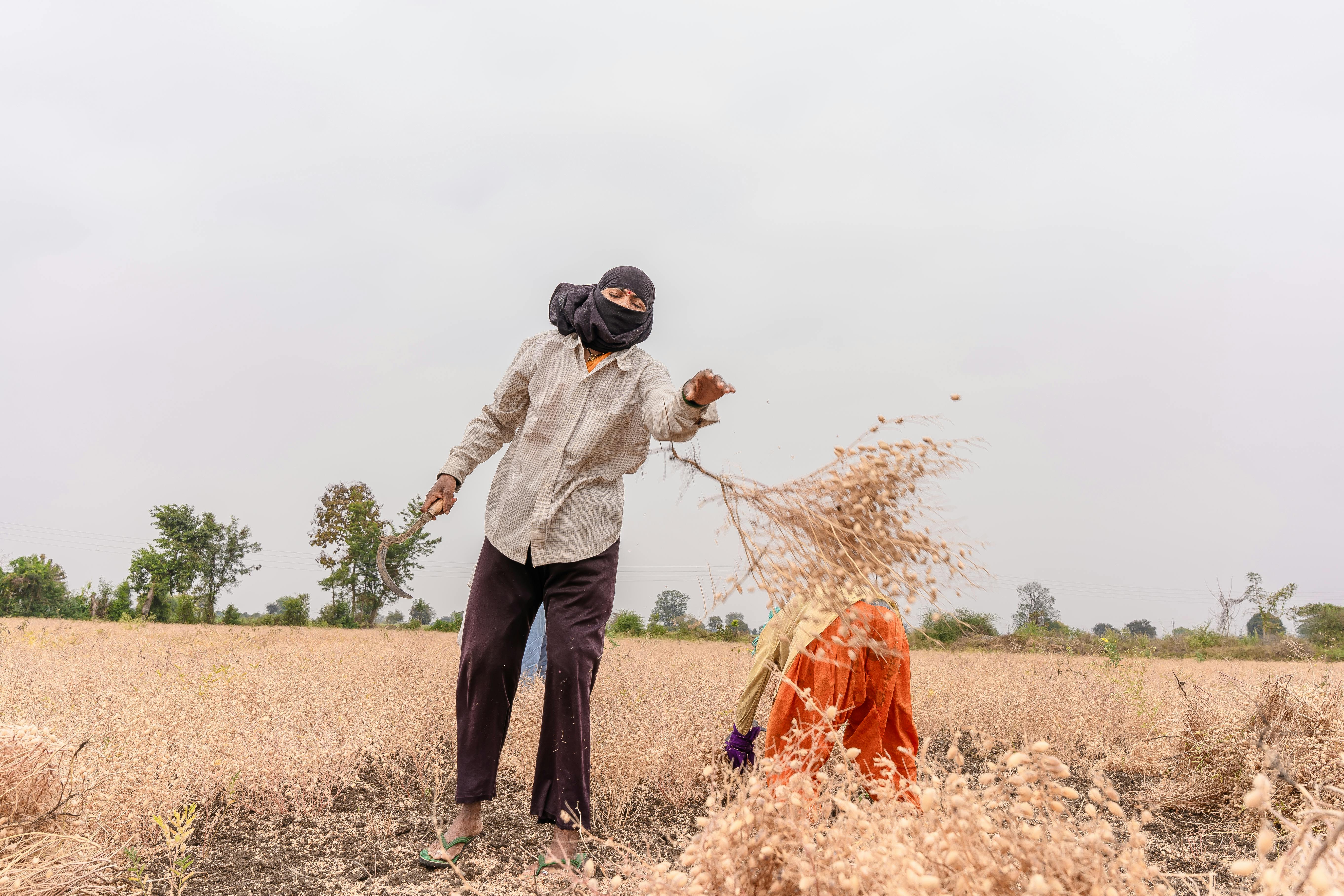 Many farmers utilize life insurance for farm financing — Photo by EqualStock IN on Pexels