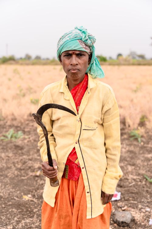 Free Portrait of an Indian farmer holding a sickle in a rural field in Nagpur, India. Stock Photo