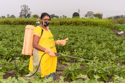 Farmers in India 