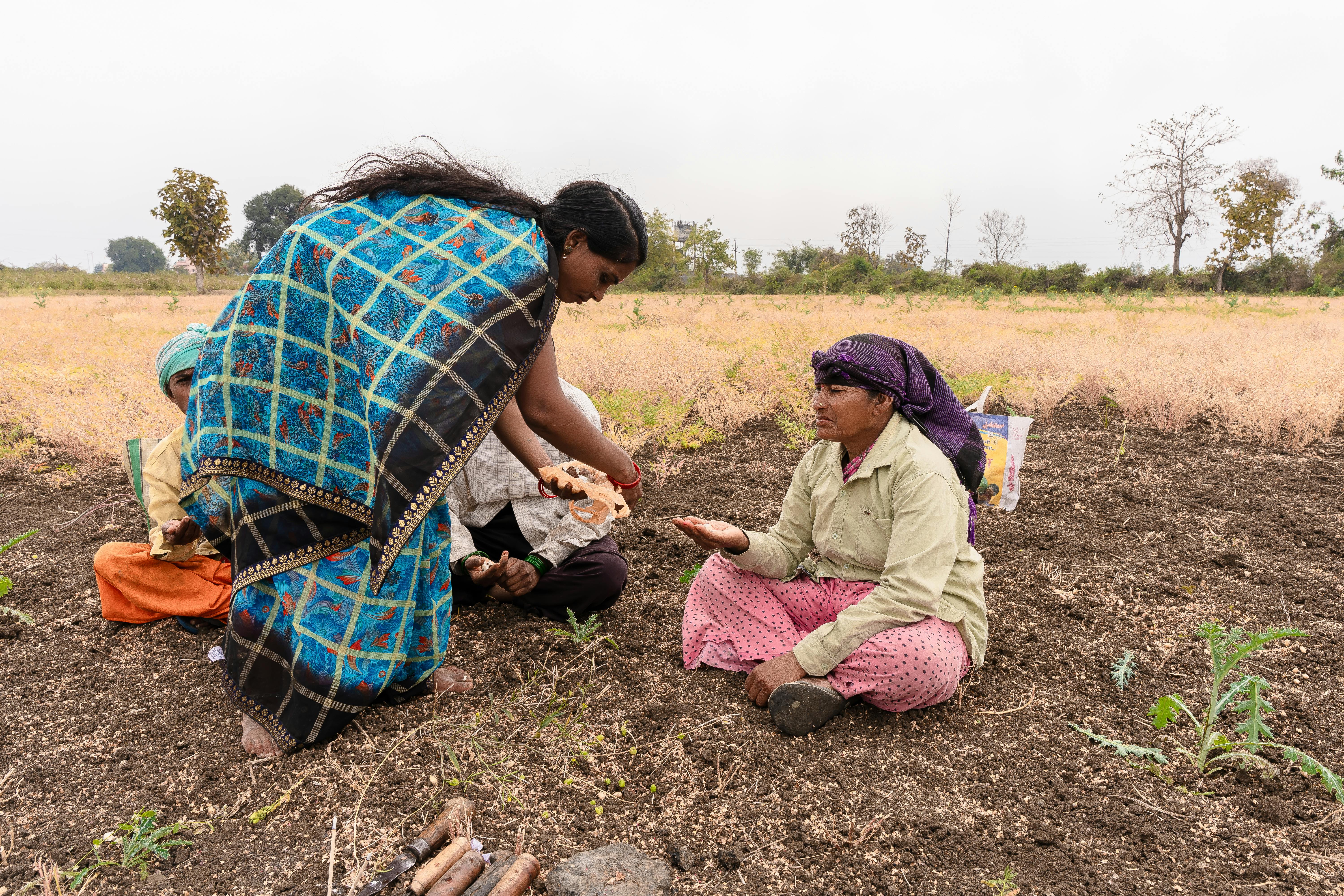 Year-end financial planning for farmers — Photo by EqualStock IN on Pexels