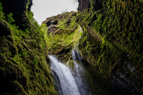 Imagine de stoc gratuită din călătorie, cascadă, islanda